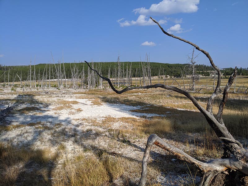 a-beautiful-view-of-yellowstone-mystic-falls-hike