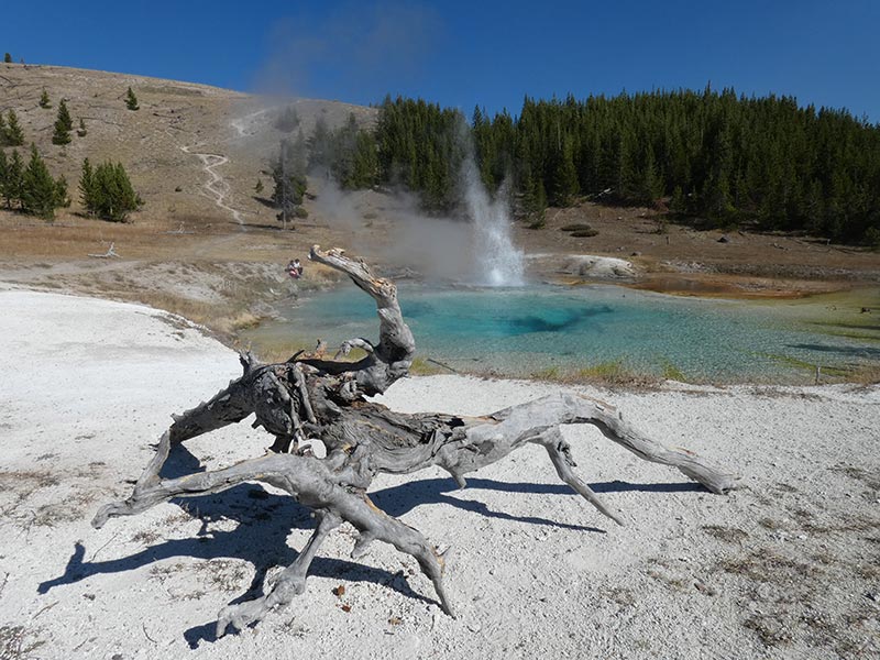 a-stunning-view-of-the-imperial-geyser-yellowstone