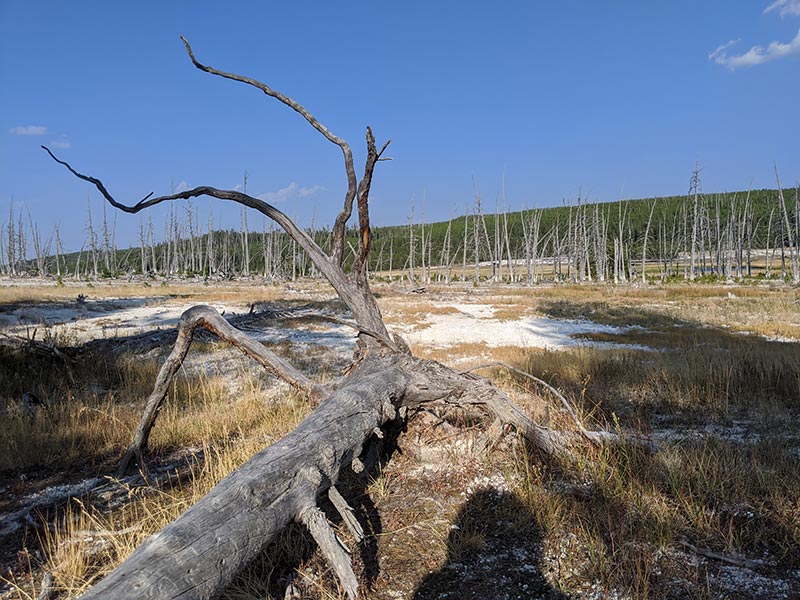 blue-sky-beautiful-view-of-biscuit-basin-yellowstone