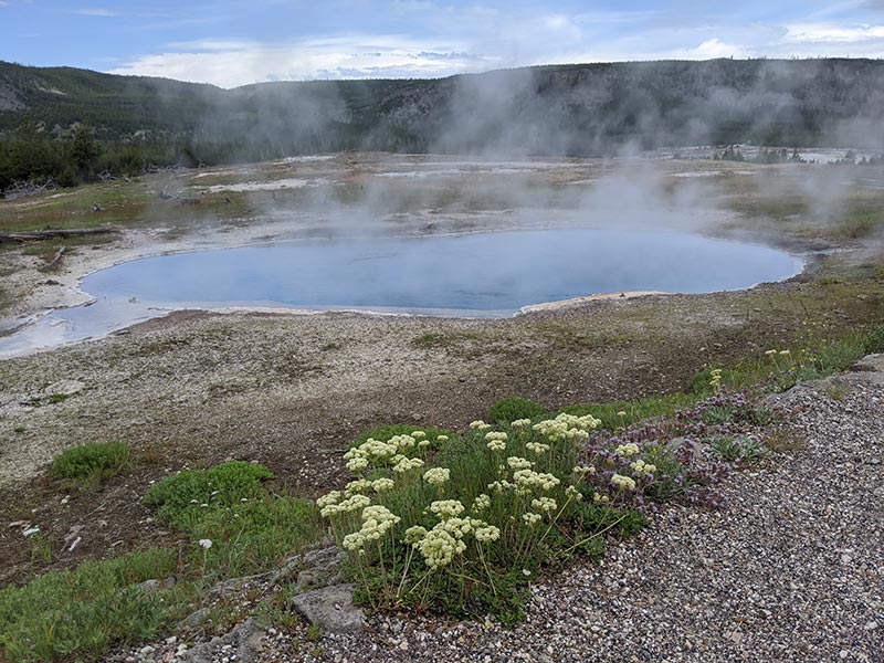 daisy-geyser-and-hot-spring-yellowstone