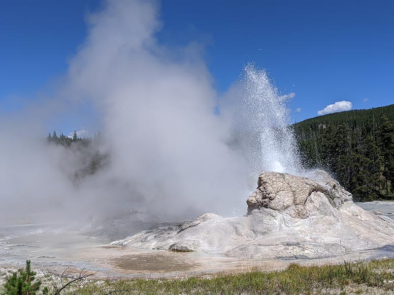 grotto-geyser-yellowstone-bj8