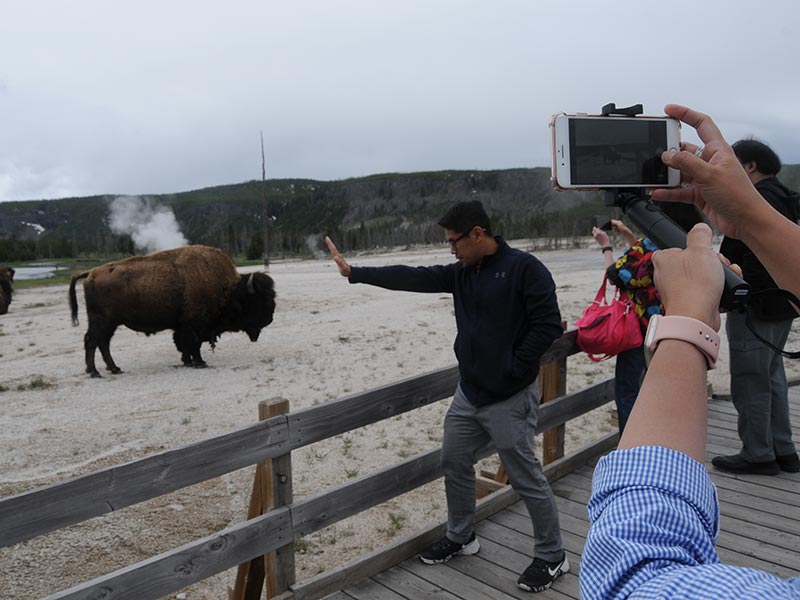 people-doing-photography-with-bisons-at-old-faithful