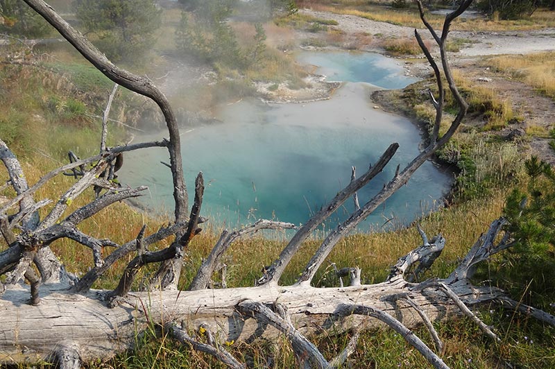 the-beautiful-yellowstone-99