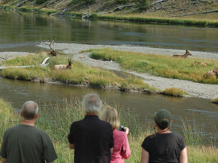 yellowstone-hikes-n59